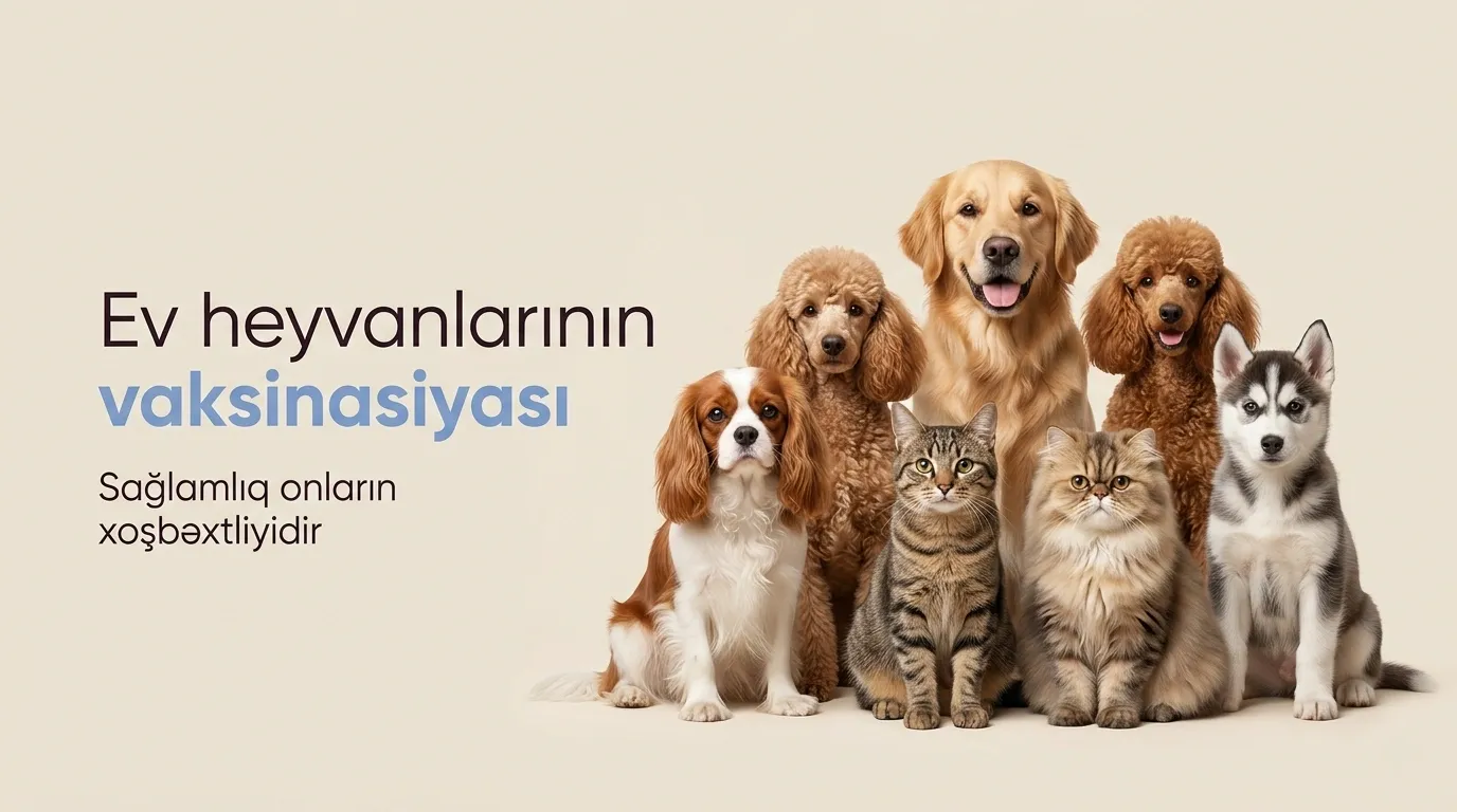 Peyvənd planını vaxtında və təhlükəsiz qururuq